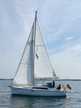 Oceanis 31