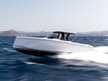 Pardo 38