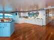 Ocean Spray Custom