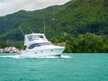 Silverton Ovation 52