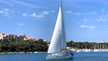 Sun Odyssey 479