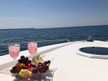 Camargue 55