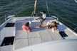 Bali Catspace Voile