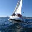 Bavaria 38