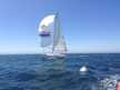 Bavaria 38 Match