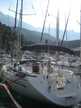 Bavaria 41