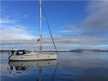 Bavaria 42