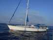 Bavaria 50