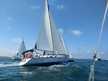 Bavaria 50