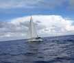 Bavaria 50