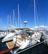Bavaria Cruiser 50