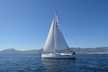 Bavaria Cruiser 51