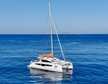 C-Cat 37