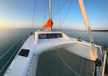 C-Cat 37