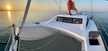 C-Cat 37