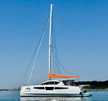 C-Cat 37