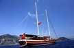 Caferoglu 7