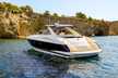 Camargue 50