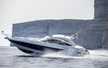 Camargue 50
