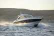 Camargue 50