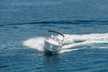 Cap Camarat 6.5 CC