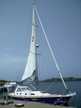 Caribbean 40