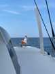 Catana 59