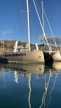 Catana 59