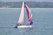 Ceycat 53