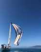 Columbia 50