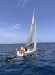 Dehler 32