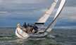 Delphia 33
