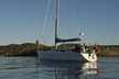 Delphia 40