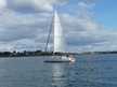 Dufour 40