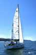 Dufour 530