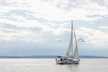 Elan Impression 40