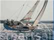 Elan Impression 50