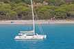 Galathea 65