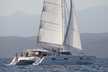 Galathea 65