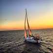 Hanse 385