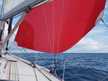 Hanse 44 Varianta