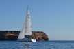 Hanse 505