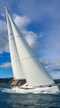 Jeanneau 51