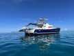 Lagoon Power 43