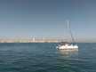 Lavezzi 40