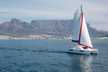 Leopard 40