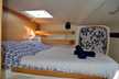 Leopard 42