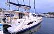 Leopard 44