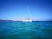 Lucia 40