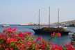M/S GALILEO
